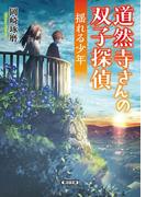 道然寺さんの双子探偵（2）　揺れる少年(朝日文庫)