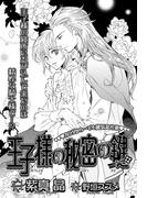 王子様の秘密の鍵【イラスト入り】(ビーボーイデジタルノベルズ)