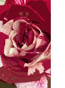 蝶番(書肆月夜堂)