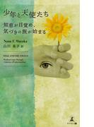 【全1-3セット】少年と天使たち