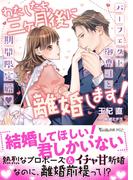 わたしたち、三ヶ月後に離婚します！～パーフェクト御曹司と期間限定婚～(ヴァニラ文庫)