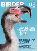 BIRDER2019年8月号