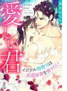 愛しい君～イジワル御曹司は派遣秘書を貪りたい～(マカロン文庫)