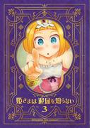 姫さまは退屈を知らない【同人版】3巻
