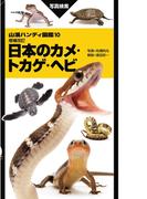 山溪ハンディ図鑑 増補改訂 日本のカメ・トカゲ・ヘビ