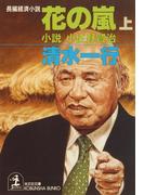 【全1-2セット】花の嵐 小説・小佐野賢治(光文社文庫)