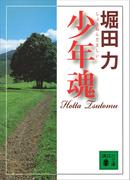 少年魂(講談社文庫)
