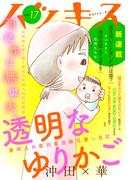 ハツキス（17号）