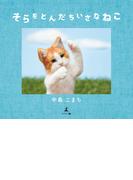 そらをとんだちいさなねこ