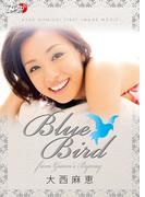 大西麻恵「Blue Bird～from GUAM’s BYWAY～」(アイドルニッポン)