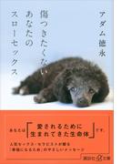 傷つきたくないあなたのスローセックス(講談社＋α文庫)