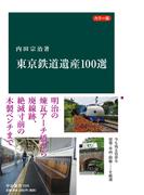 カラー版　東京鉄道遺産１００選(中公新書)