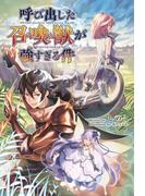 【全1-3セット】「呼び出した召喚獣が強すぎる件」シリーズ(サーガフォレスト)