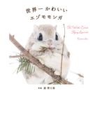 世界一かわいいエゾモモンガ