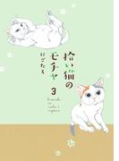 拾い猫のモチャ3(中経☆コミックス)