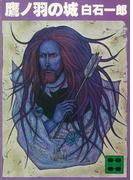 鷹ノ羽の城(講談社文庫)
