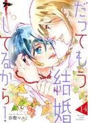 だってもう結婚してるから！ 14(シーモアコミックス)