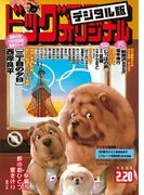 ビッグコミックオリジナル　2020年4号(2020年2月5日発売)