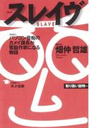 スレイヴ パソコン音痴のカメイ課長が電脳作家になる物語