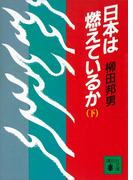日本は燃えているか（下）(講談社文庫)