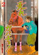 走れガバチョ！　2(マンガの金字塔)