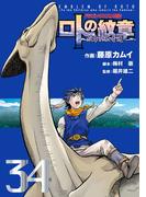 ドラゴンクエスト列伝 ロトの紋章～紋章を継ぐ者達へ～34巻(ヤングガンガンコミックス)