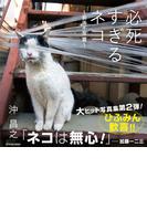 必死すぎるネコ ～前後不覚 篇～