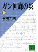 ガン回廊の炎（下）(講談社文庫)