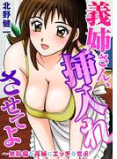 義姉さん、挿入れさせてよ～無防備な義姉にエッチな要求(メンズ宣言)