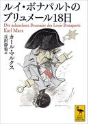 ルイ・ボナパルトのブリュメール１８日(講談社学術文庫)