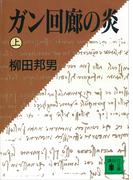【全1-2セット】ガン回廊の炎(講談社文庫)