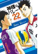 神様のバレー　２２巻(芳文社コミックス)