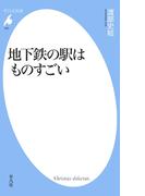 地下鉄の駅はものすごい(平凡社新書)