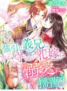 強引な義兄に守られた花嫁は溺愛に揺蕩う(夢中文庫ペアーレ)
