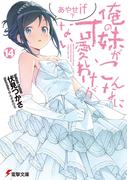 俺の妹がこんなに可愛いわけがない(14)　あやせif　下(電撃文庫)