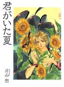 君がいた夏(WINGS COMICS(ウィングスコミックス))