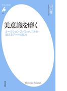 美意識を磨く(平凡社新書)