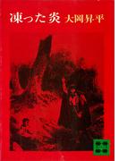 凍った炎(講談社文庫)