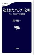 盗まれたエジプト文明　ナイル5000年の墓泥棒(文春新書)