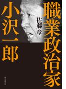 職業政治家　小沢一郎