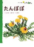 たんぽぽ