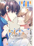 comic picn vol.10(picn comics)