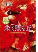 朱く照る丘―ソナンと空人4―（新潮文庫）(新潮文庫)