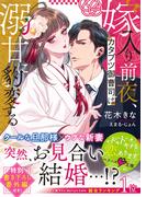 嫁入り前夜、カタブツ御曹司は溺甘に豹変する(ベリーズ文庫)