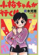 小梅ちゃんが行く！！(3)
