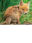 Look at me!　動物たちと目が合う1／1000秒の世界