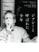 ジプシーと呼ばれた少年(ハーパーBOOKS)