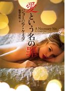 愛という名の罪(二見文庫)