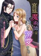 宮廷魔術師は妻を溺愛する～美しい容れ物のなかで交わる、わたしと私の身勝手な愛～(アマゾナイトノベルズ)