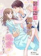 【全1-2セット】婚約解消した御曹司になぜか溺愛されています(アマゾナイトノベルズ)